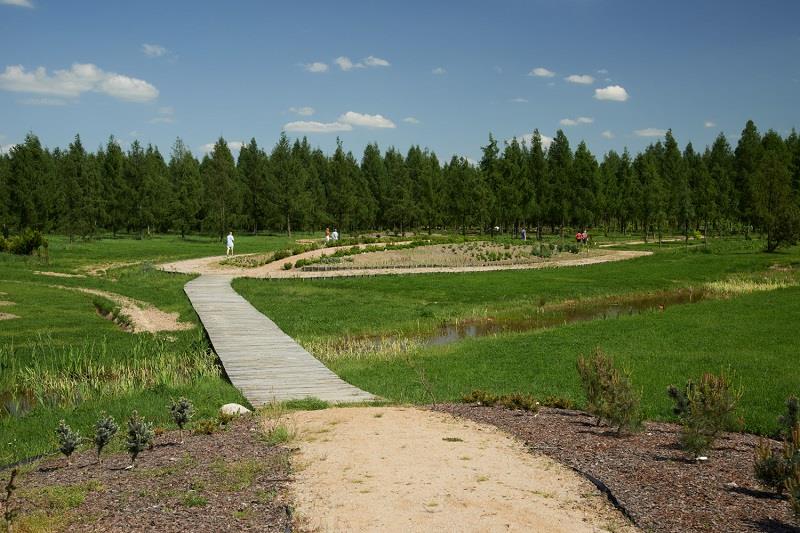 Arboretum leśne im. prof. Stefana Białoboka  1