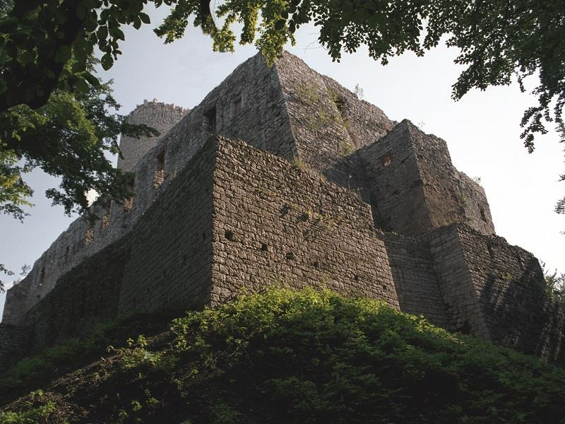 Zamek Lipowiec 3